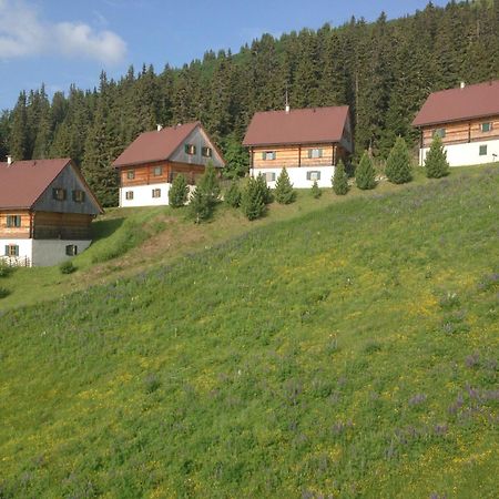 Moselebaueralm Villa Klippitztorl Dış mekan fotoğraf