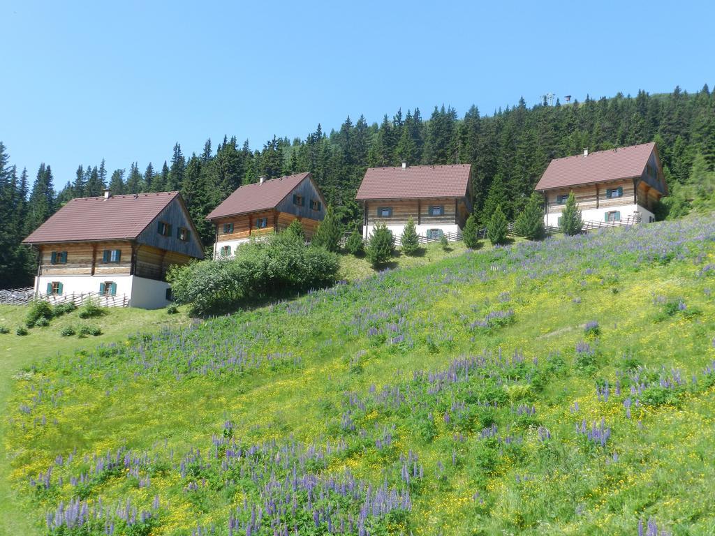 Moselebaueralm Villa Klippitztorl Oda fotoğraf