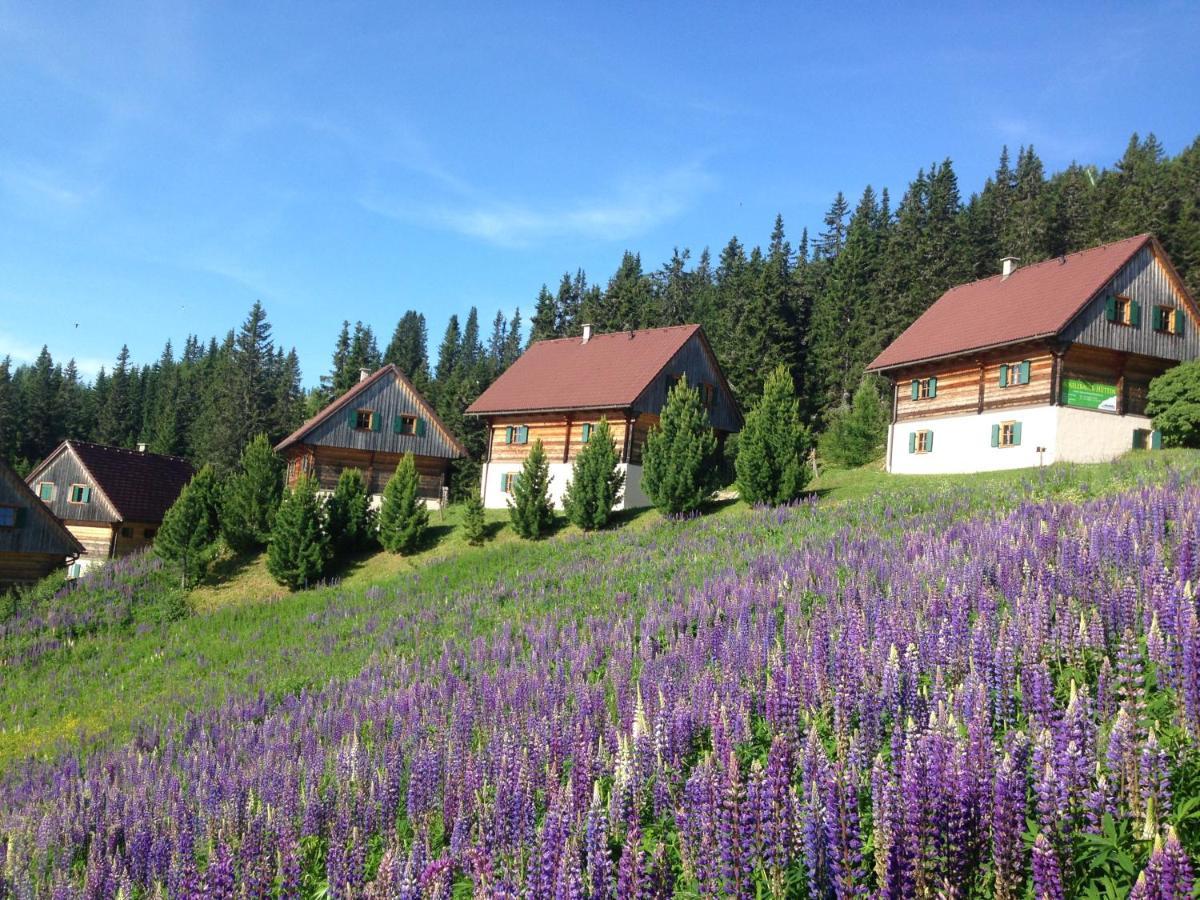 Moselebaueralm Villa Klippitztorl Dış mekan fotoğraf